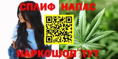 бошки Боровичи