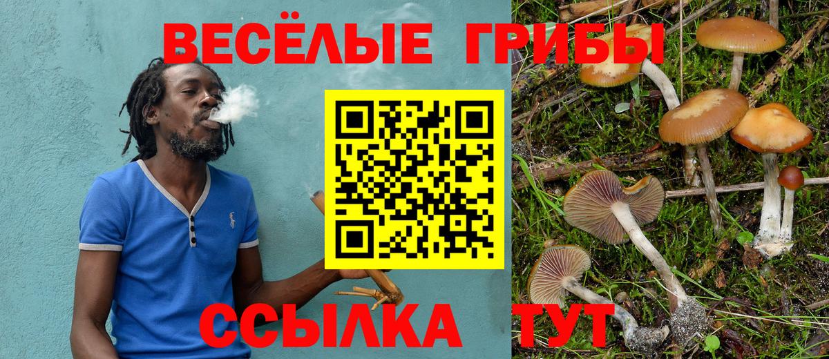 Псилоцибиновые грибы мицелий Сунжа